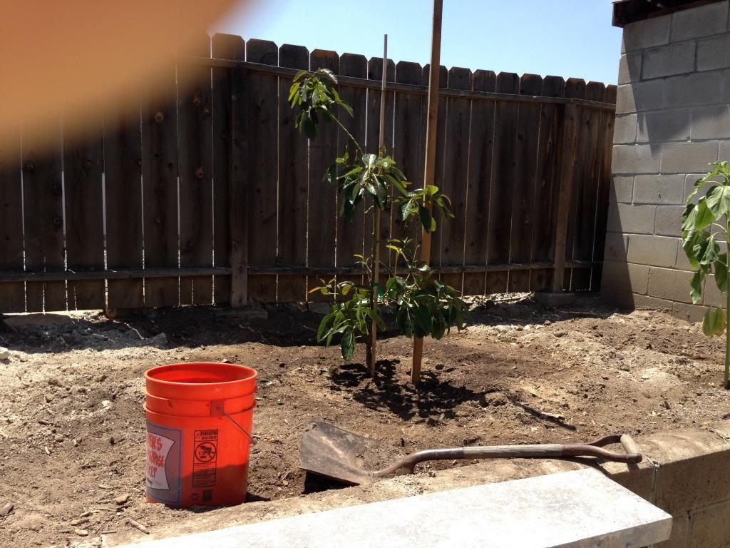  photo Picture022_zps13f3de61.jpg